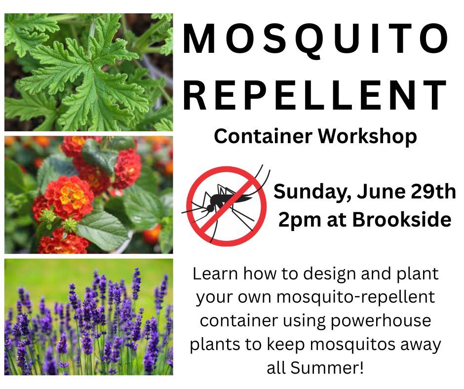 Mosquito Repellent Container Workshop