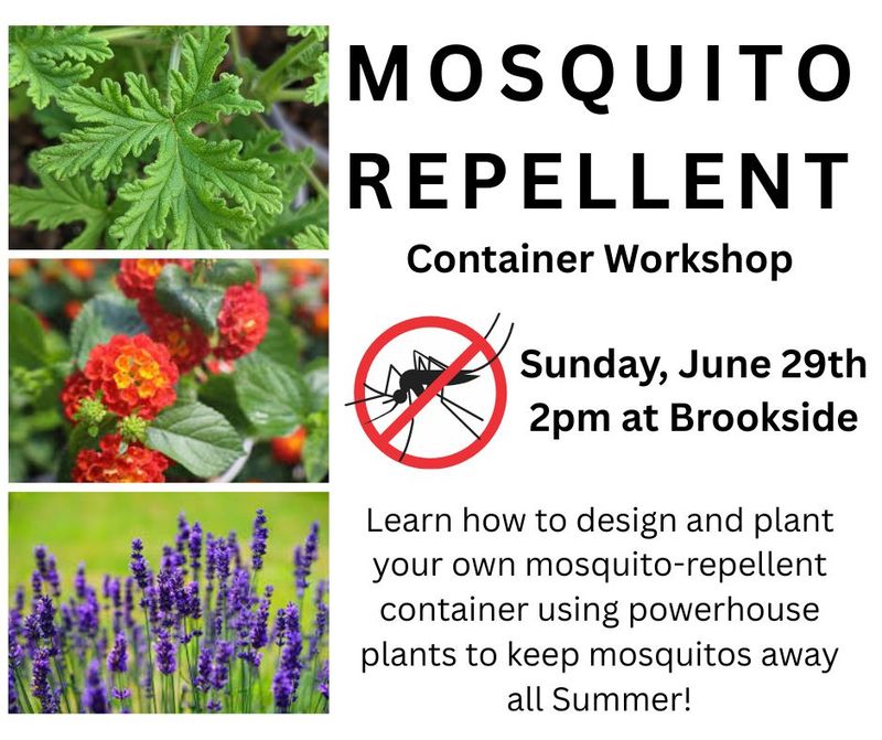 Mosquito Repellent Container Workshop