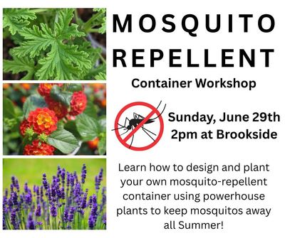 Mosquito Repellent Container Workshop
