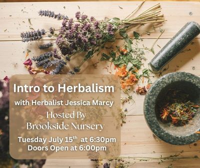 Intro to Herbalism