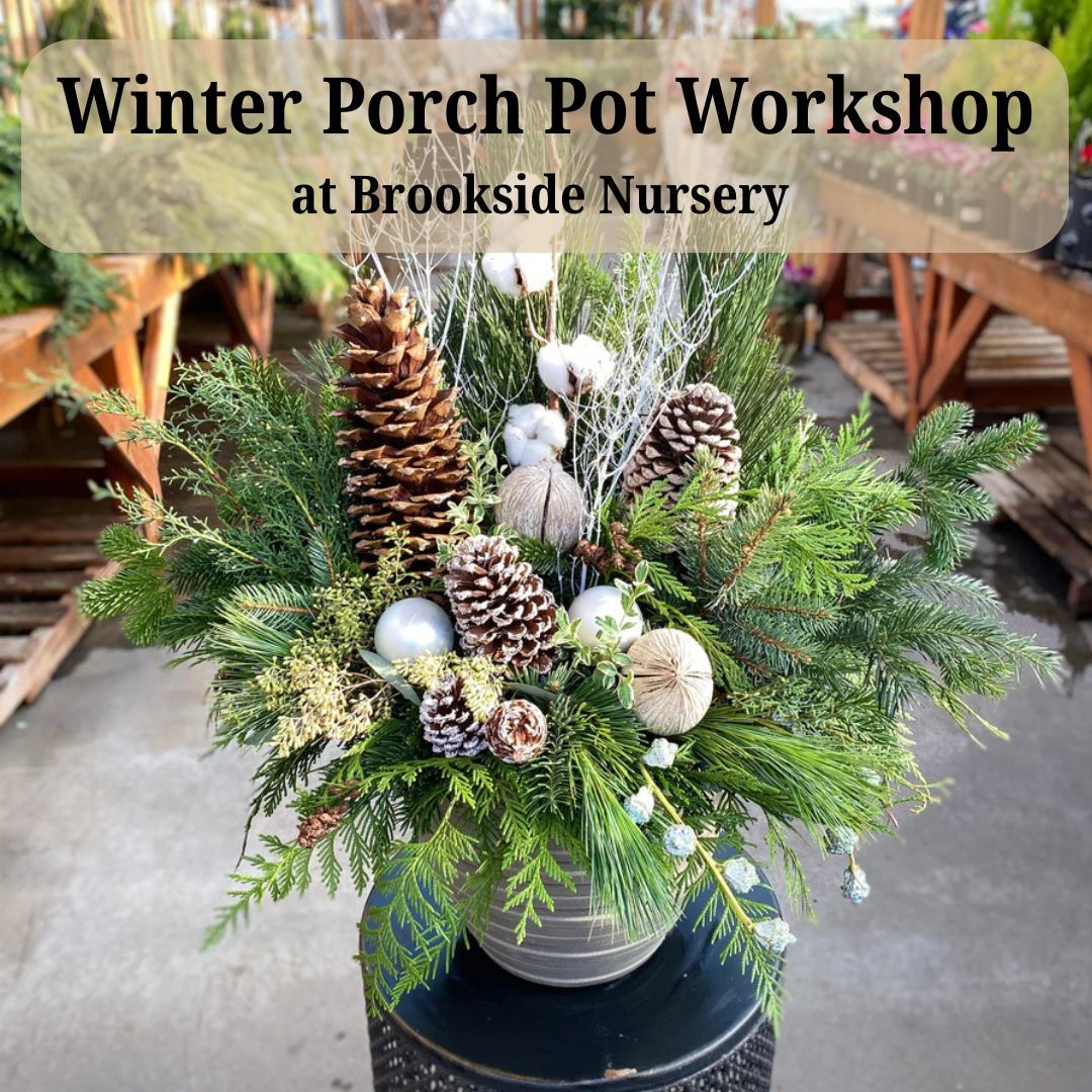 Winter Porch Pot Workshop  Nov. 19