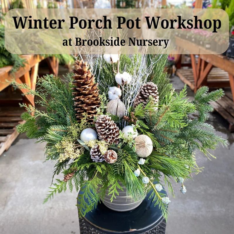 Winter Porch Pot Workshop  Nov. 19