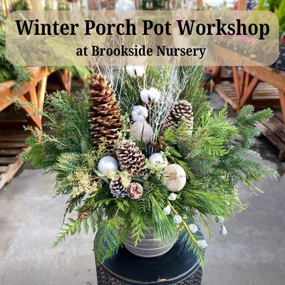 Winter Porch Pot Workshop  Nov. 19