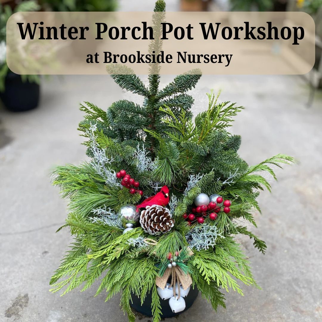 Winter Porch Pot Workshop Nov. 20