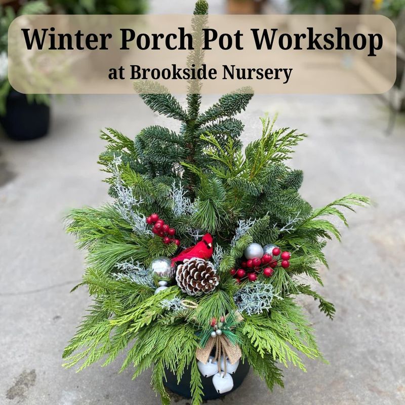 Winter Porch Pot Workshop Nov. 20