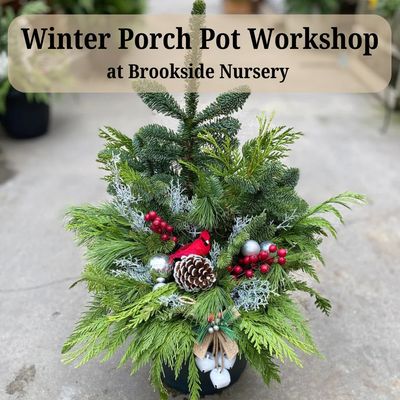 Winter Porch Pot Workshop Nov. 20