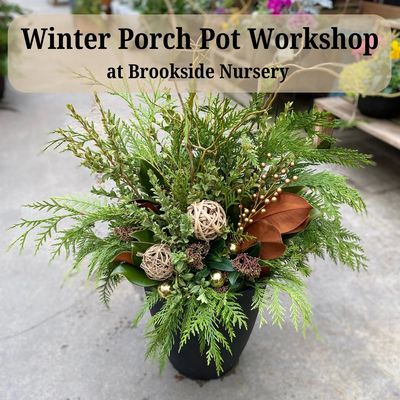 Winter Porch Pot Workshop Nov. 21