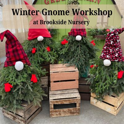Winter Gnome Workshop