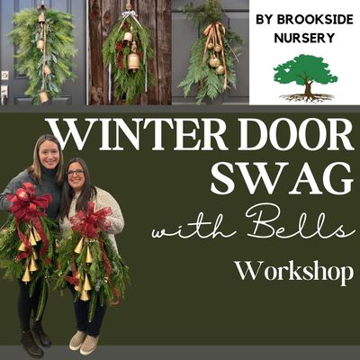 Swag with Bells Nov 22 -12pm