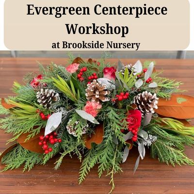Evergreen Centerpiece Workshop Dec 20- 1pm 