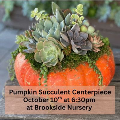 Pumpkin Succulent Workshop