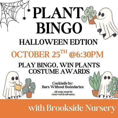 Halloween Bingo 