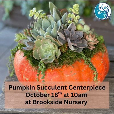Pumpkin Succulent Workshop