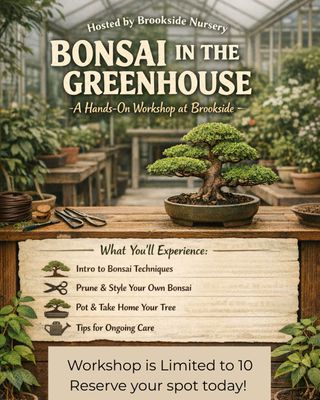 Bonsai Workshop 