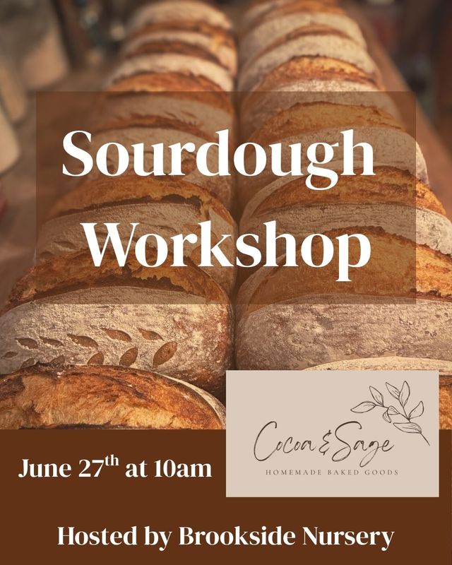 Sourdough Workshop with Cocoa and Sage
