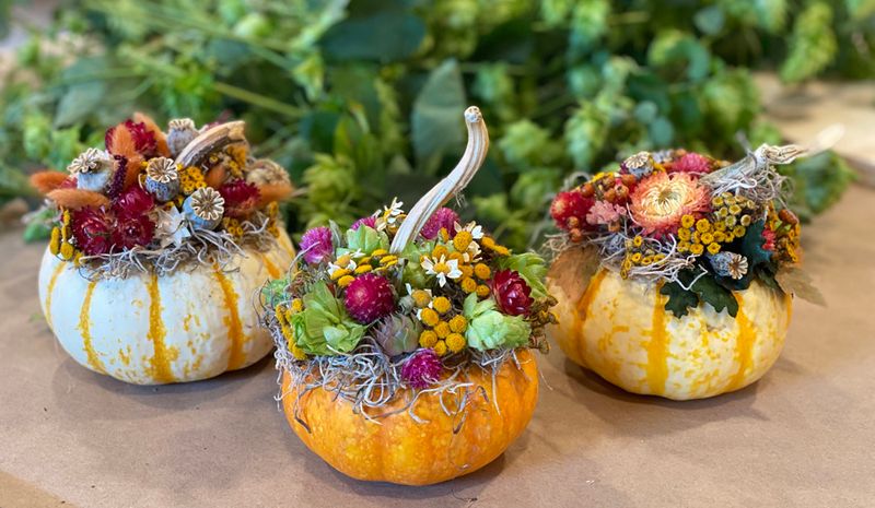 Dried Flower Pumpkin Trio 10am