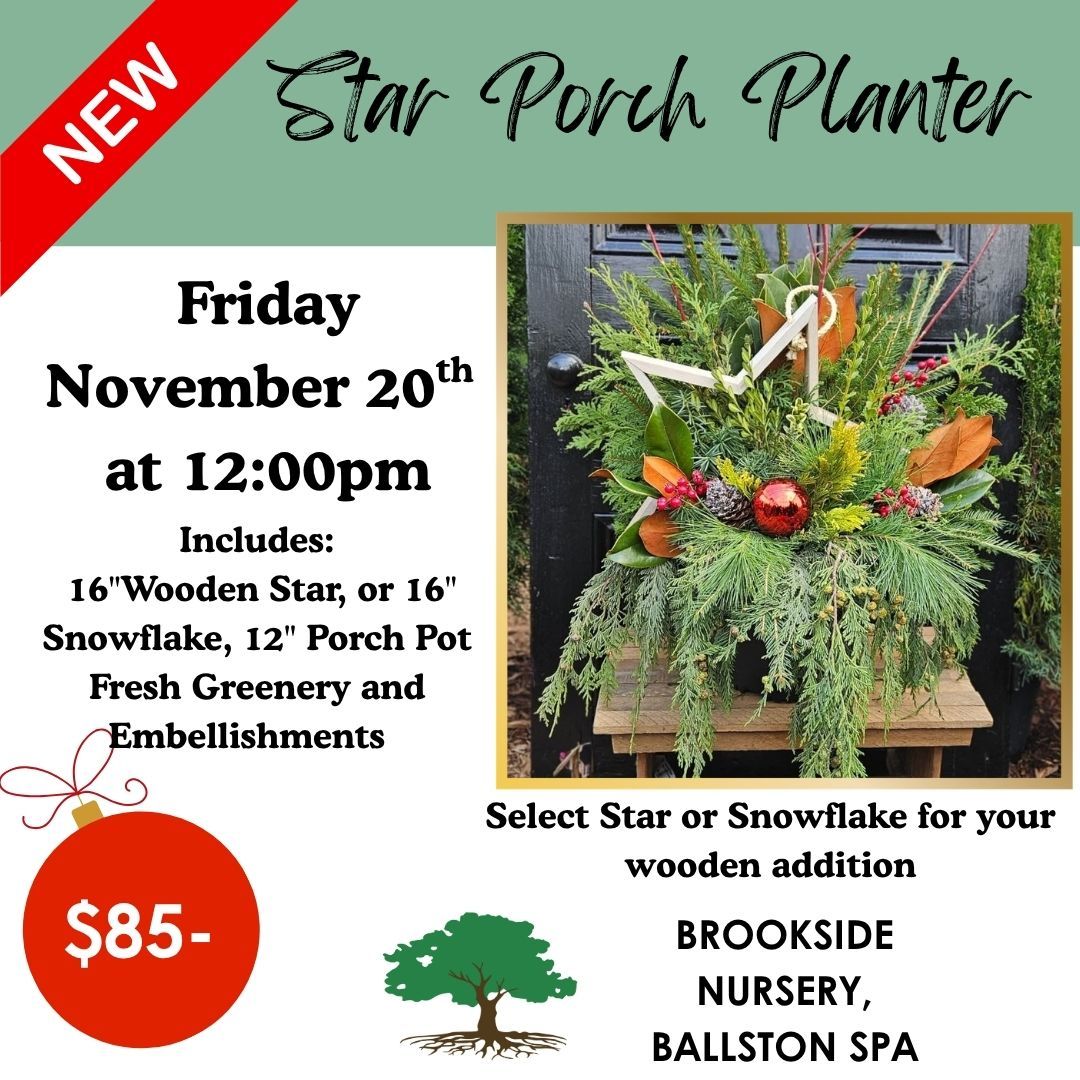 Nov 20th 12pm Porch Pot