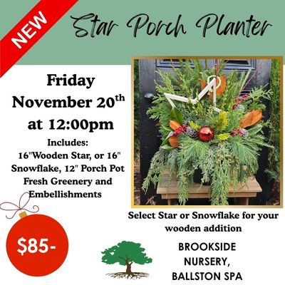 Nov 20th 12pm Porch Pot