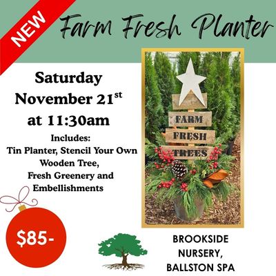 Nov 21st 11:30am Porch Pot
