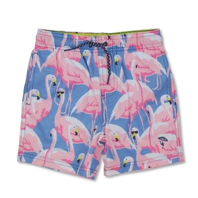 Shady Flamingo Boys 4 way Stretch Swim Trunk