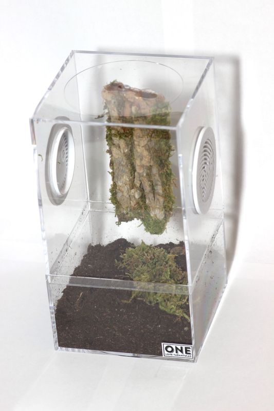 Arboreal Enclosure 3.44x3.44x6.32"