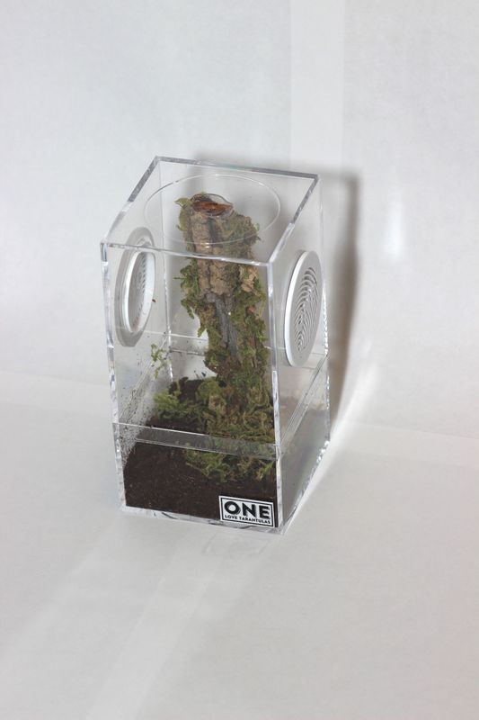Arboreal Enclosure 2.32x2.32x4.19"