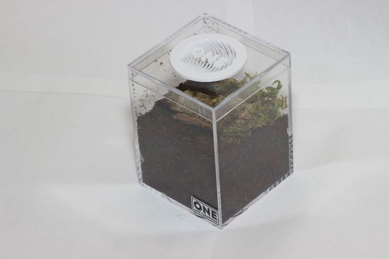 Terrestrial Enclosure 2.32x2.32x3.07"