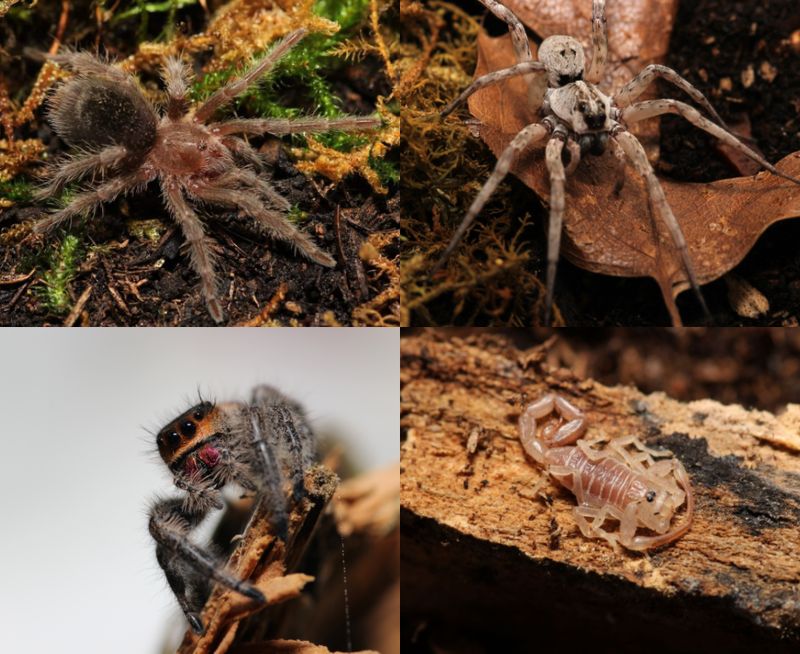 One Love Mystery Box