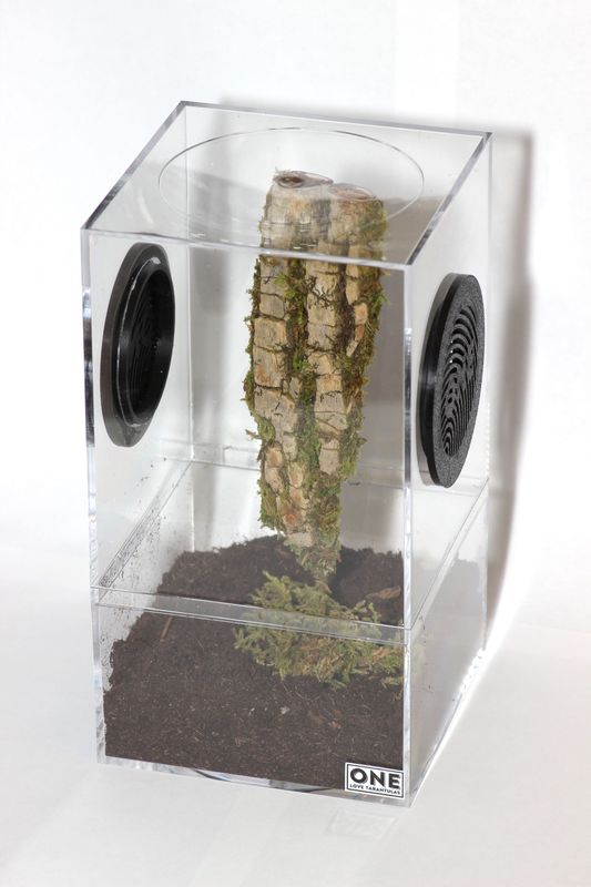 Arboreal Enclosure 4x4x7.25"