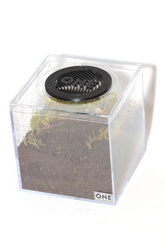 Terrestrial Enclosure 3.25x4x4"