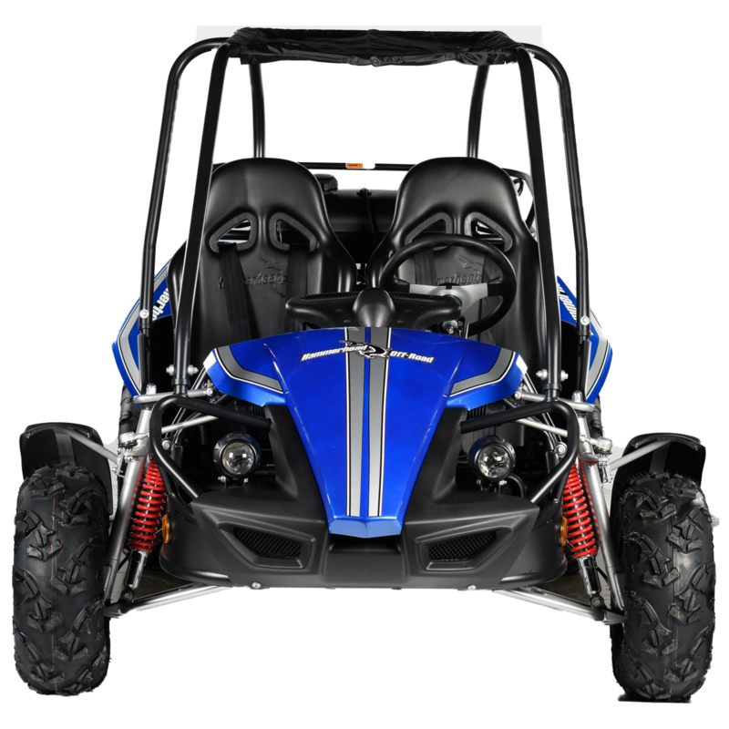 Adult 2024 dune buggy