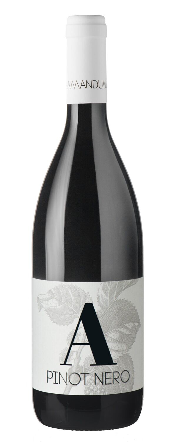 Amandum Pinot Nero 2018