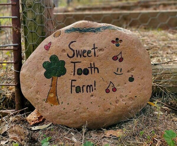 Sweet Tooth Farm Young Online Store
