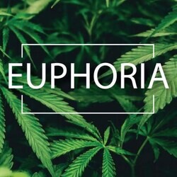 Euphoria Confections