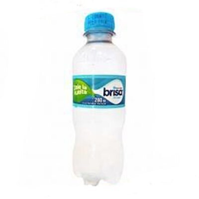 Brisamini