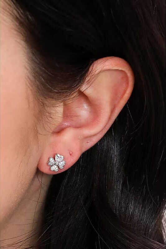 Boucles d'oreille femme argent
