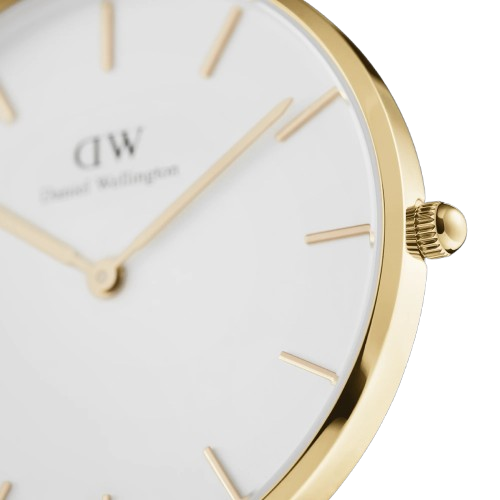 Montre Petite Evergold