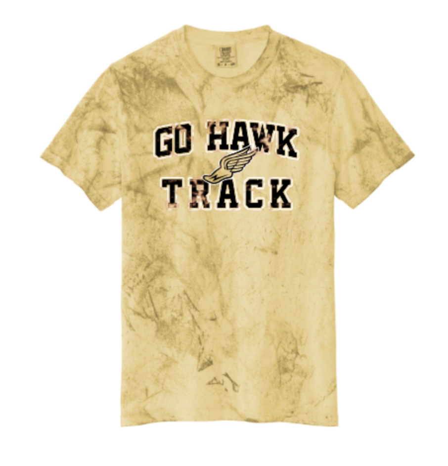 VINTAGE GO HAWK TRACK TEE
