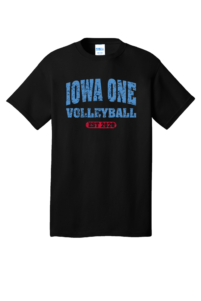 VINTAGE IOWA ONE - Classic Fit Tee