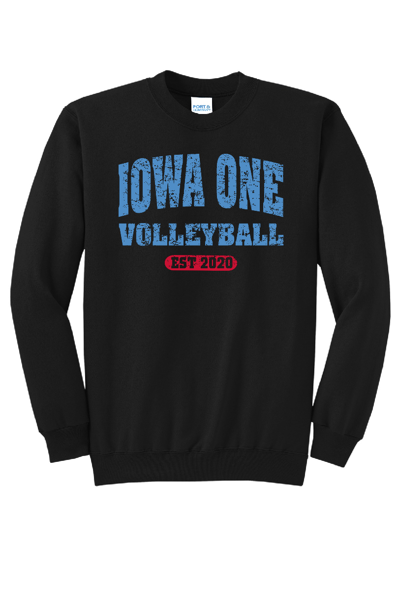 VINTAGE IOWA ONE - Classic Fit Crew