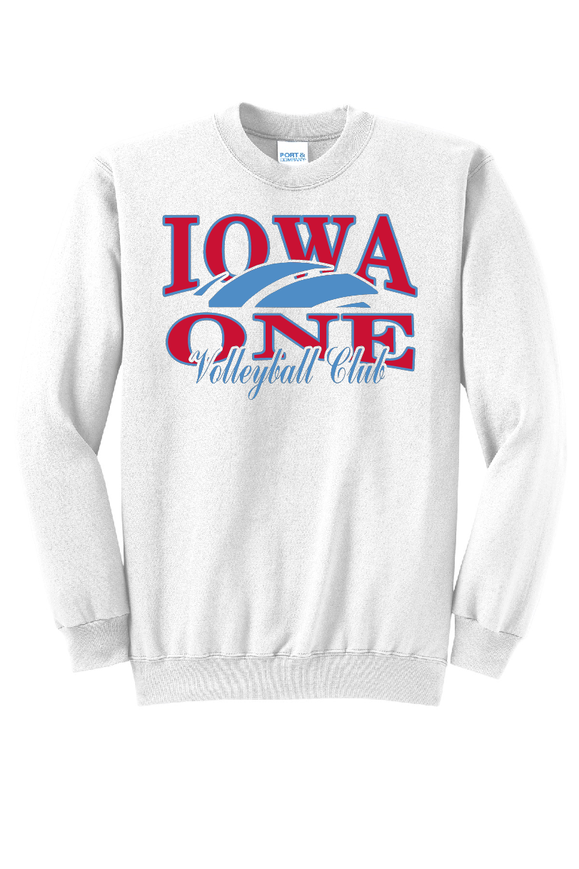 IOWA ONE BALL - Classic Fit Crew