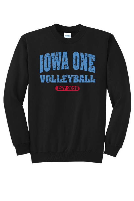 VINTAGE IOWA ONE GEAR