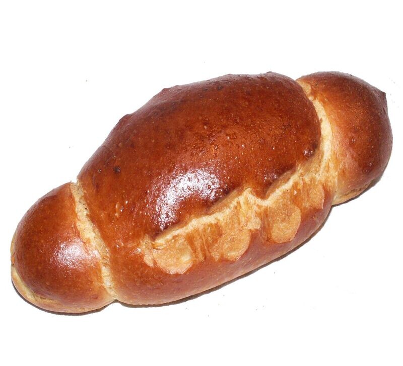 Coquille Grand Modèle