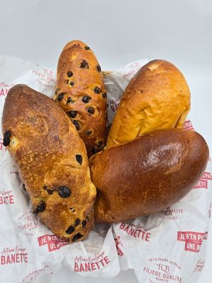 Petits modèles