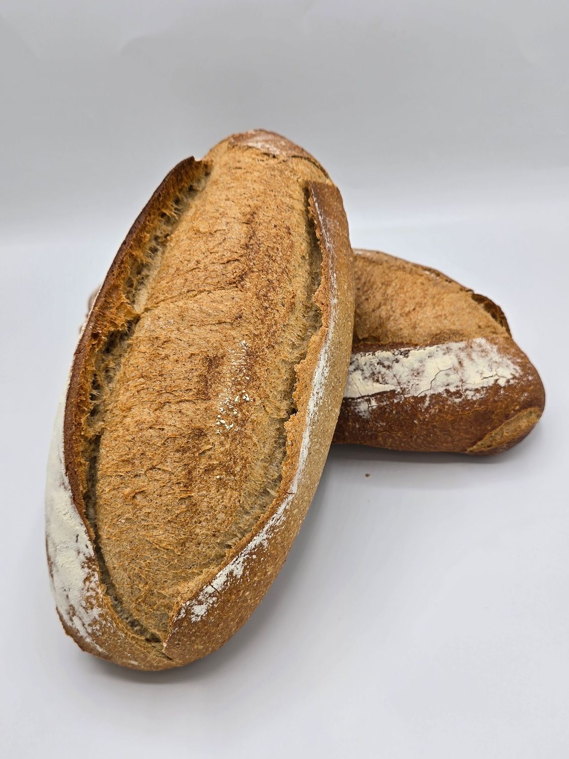 CAMPAGNE 400G