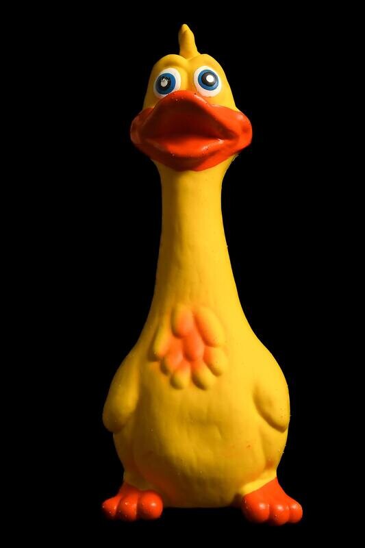 Juguete de mascotas
