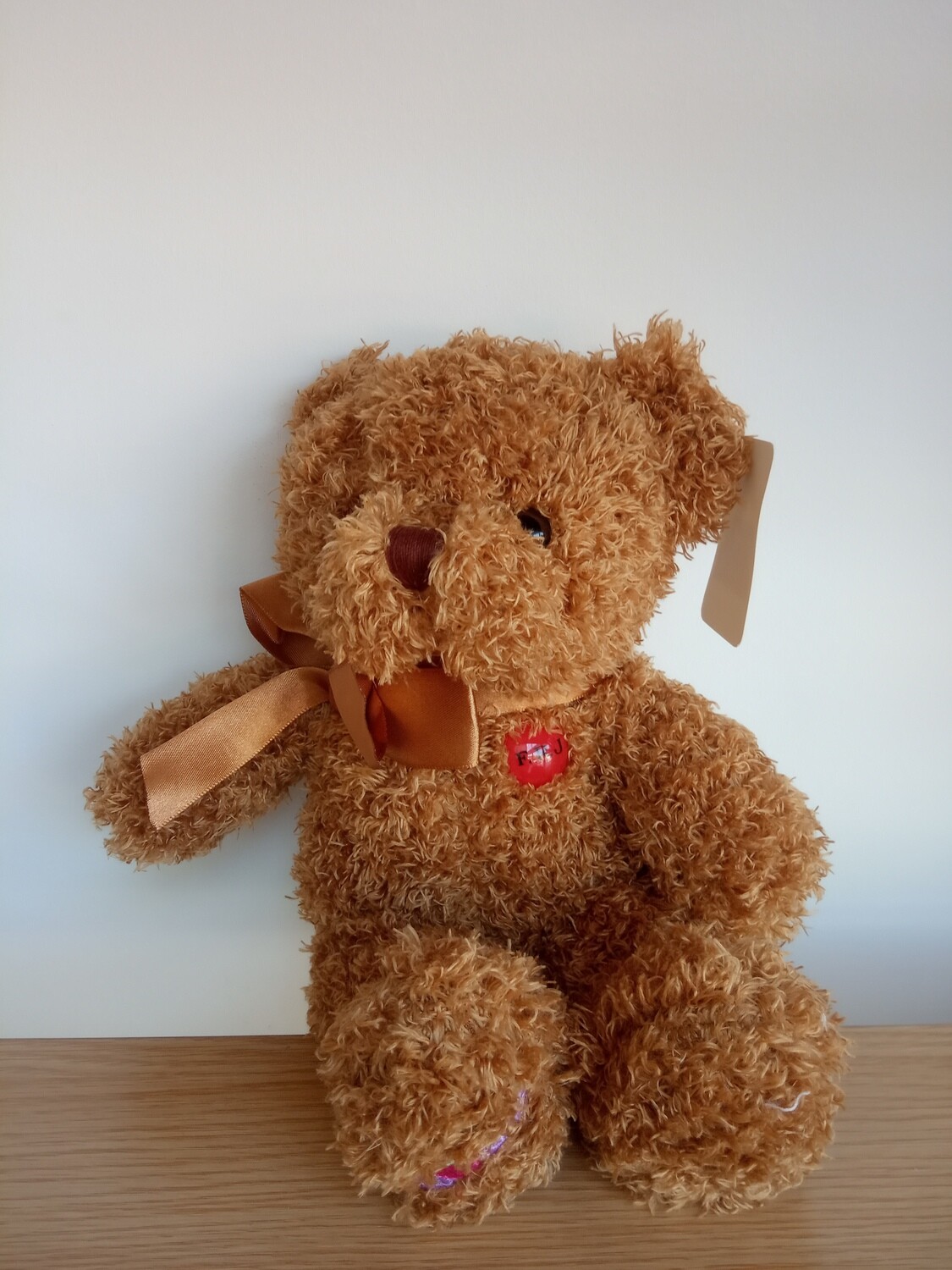 Oso de peluche
