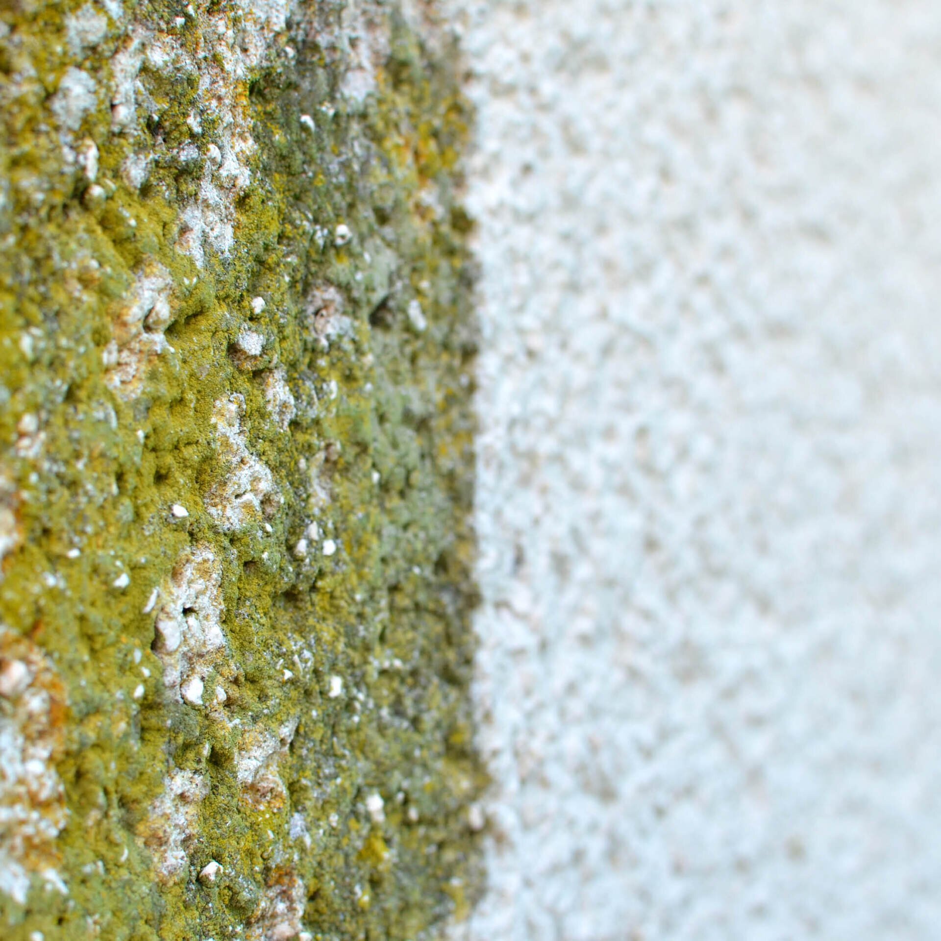 HERMES Fassadenrein HF1 plus - 20 L