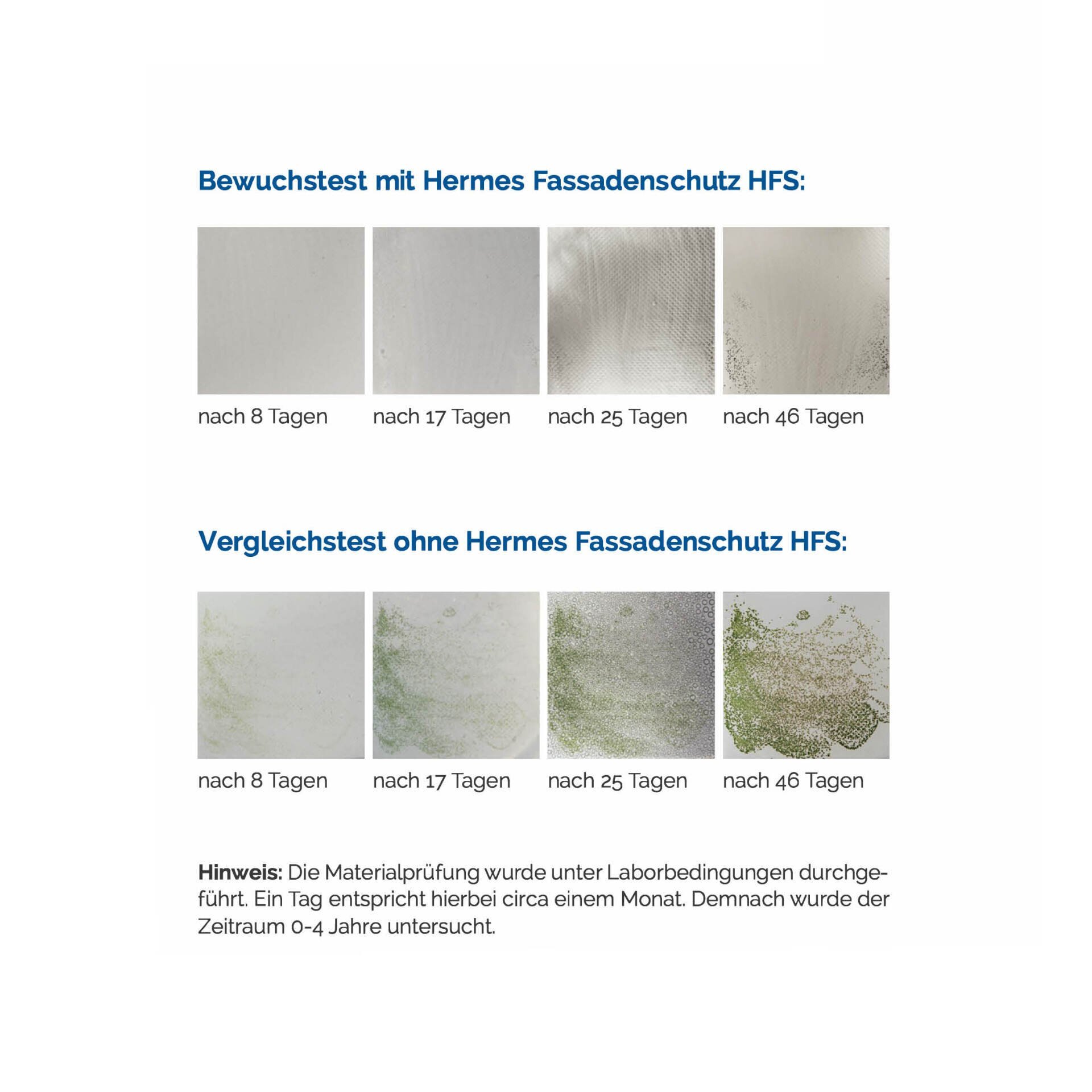 HERMES Fassadenschutz HFS-5 Konzentrat