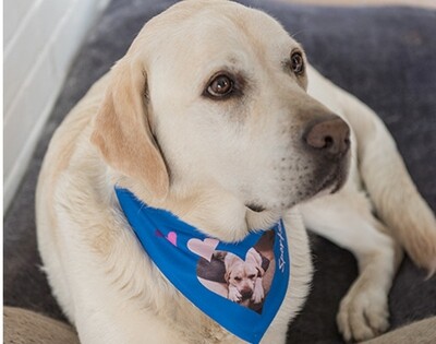 personalisiertes Hundehalstuch weiß mit Klettverschluss in 3 verschiedenen Größen mit ihrem Wunschmotiv/Text